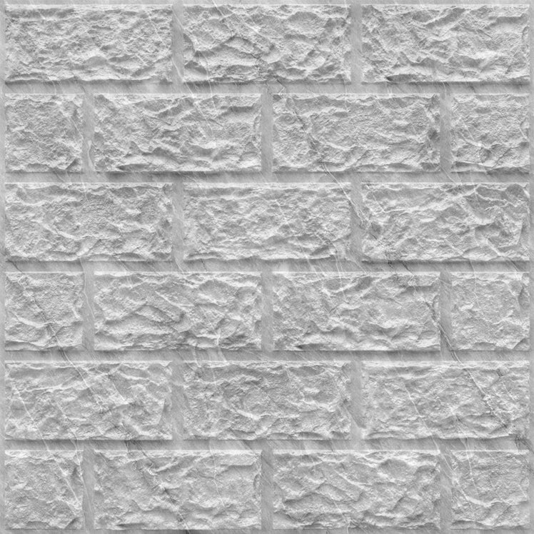 3D Ceiling Panel 101
