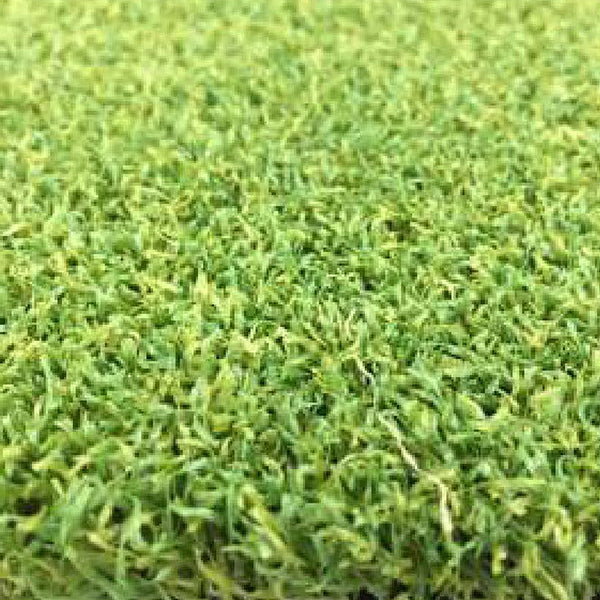 Sport Grass