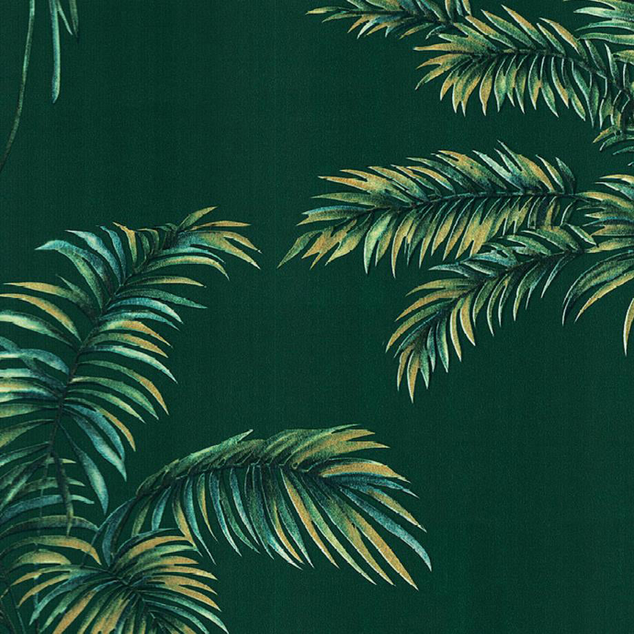 Palm Tree