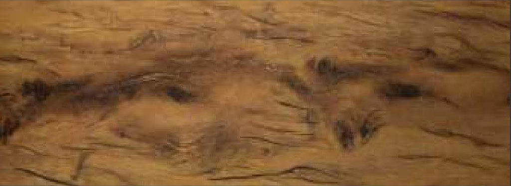 Spruce Plus