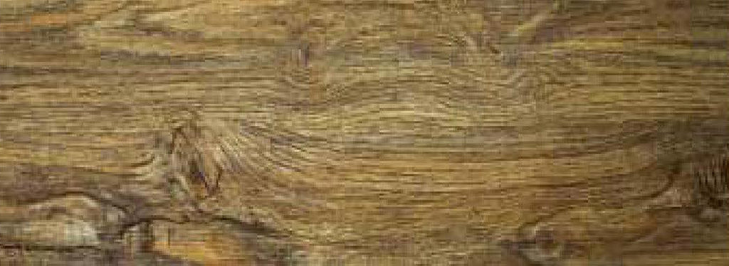 Conifer Plus