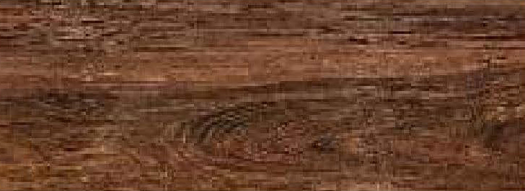 Conifer