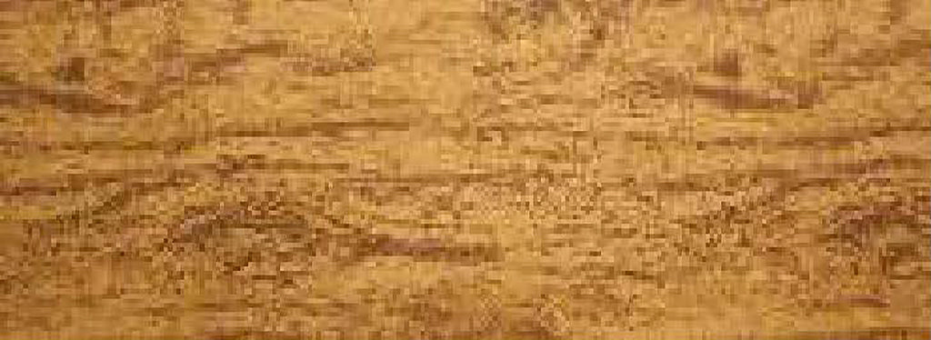 Conifer