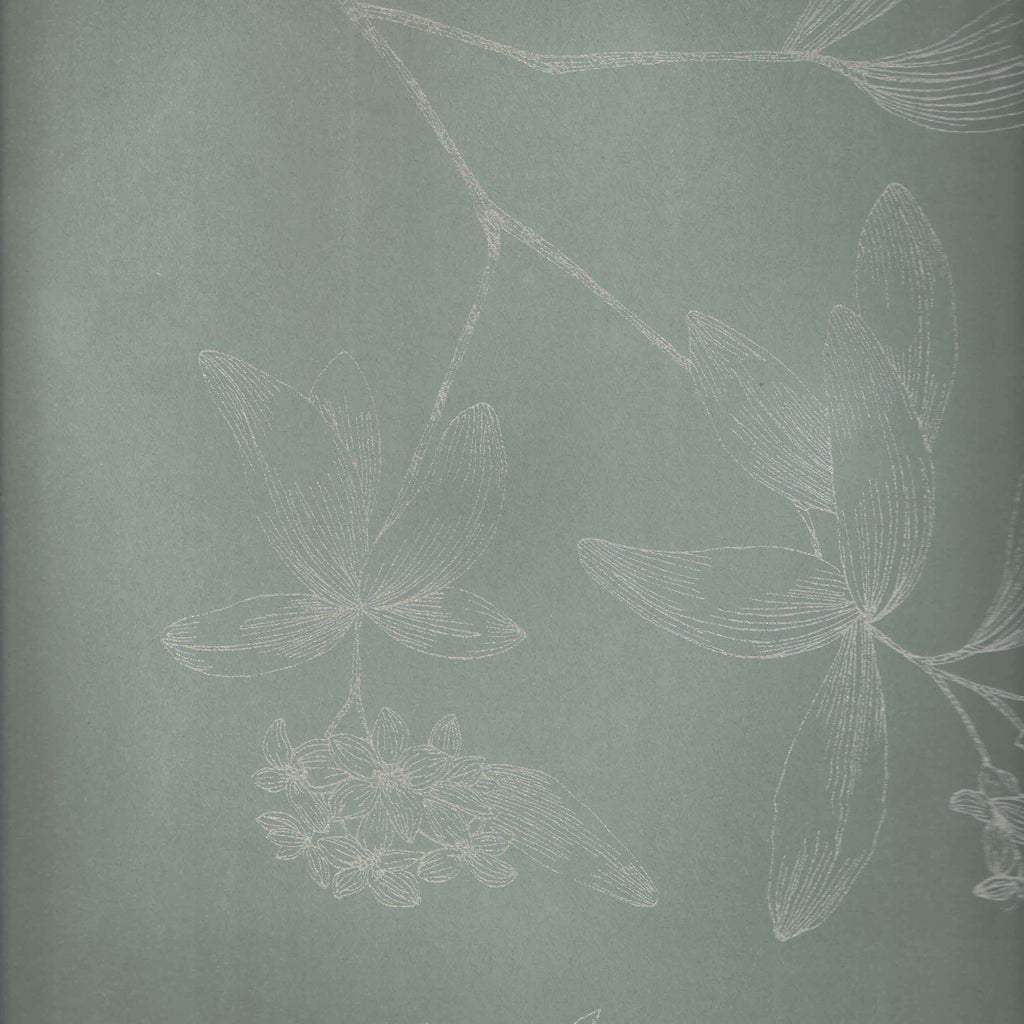 New Leaves