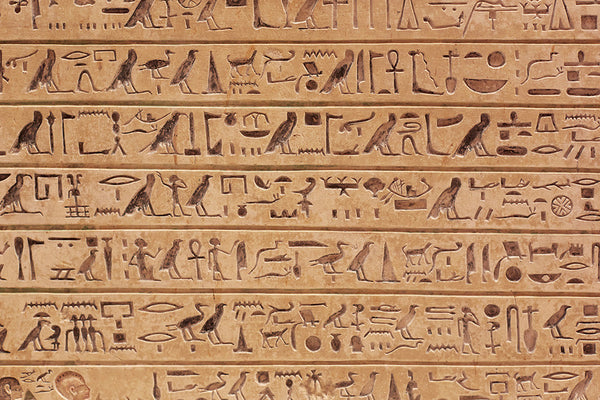 Egyptian hieroglyphics (WM00163)