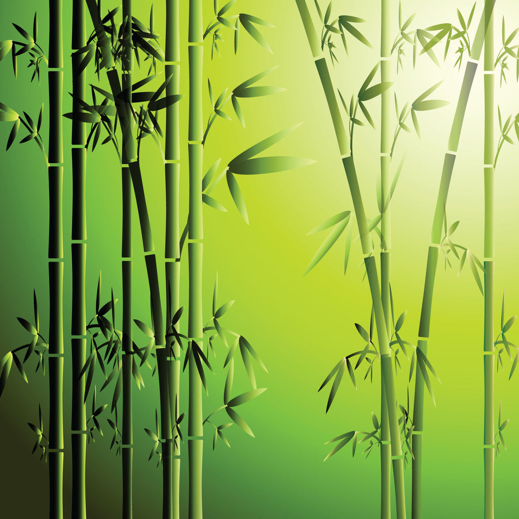 WM00402 (Bamboo)